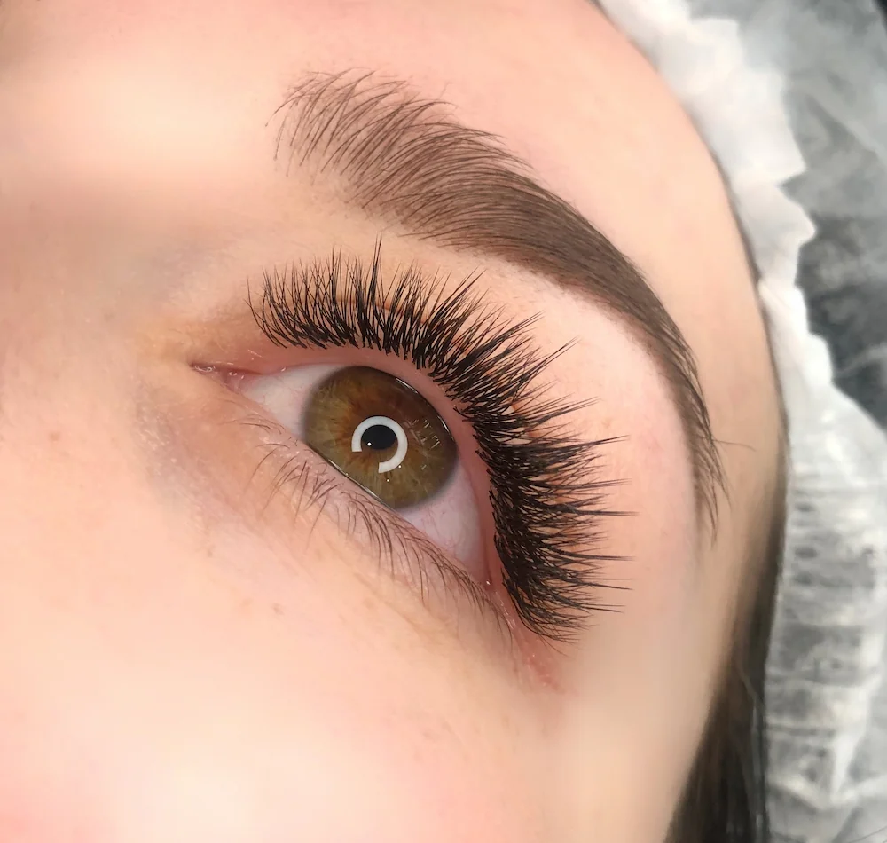Lashes 1